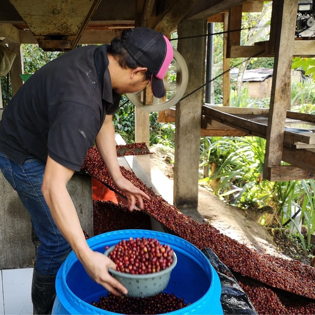 Produktbild 2