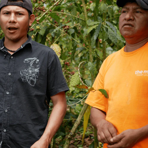 Produktbild 4